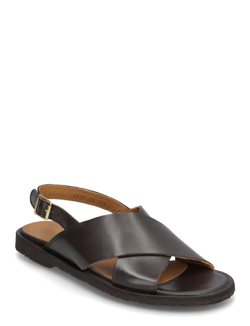 Sandals - Flat - Open Toe - Op ANGULUS Black