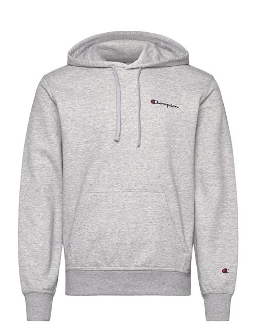 Hooded Sweatshirt Champion Grey