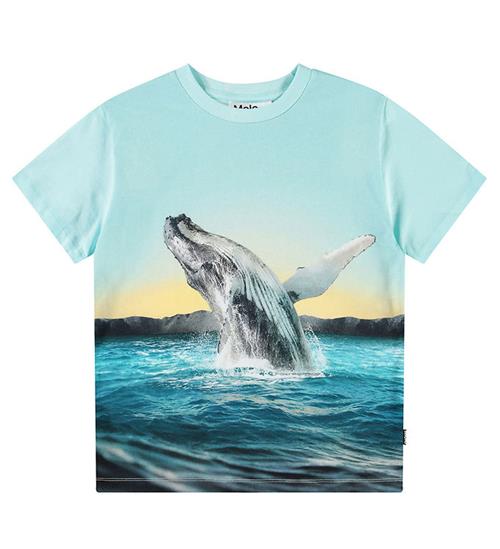 Molo T-shirt - Rame - Whale Jump