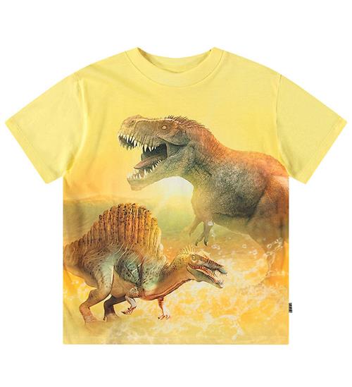 Molo T-shirt - Roxo - Sunny Dinos