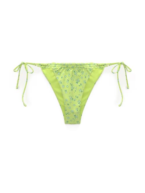 Pull&Bear Bikinitrusse  grøn / æble / hvid