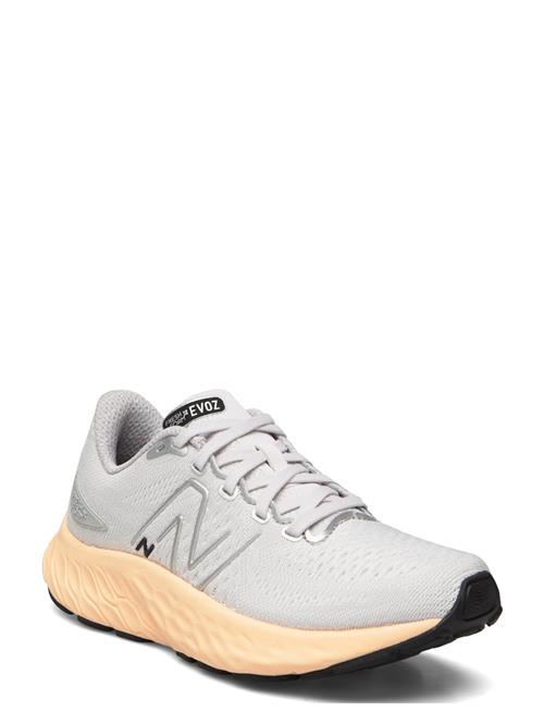 New Balance Freshfoam Evoz V3 New Balance Grey