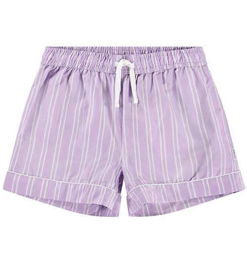 Molo Shorts - Aja - Purple Rail Stripe