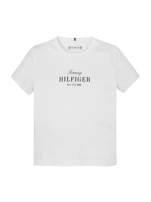 TOMMY HILFIGER Bluser & t-shirts  sort / hvid