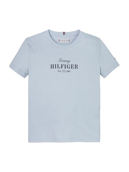 TOMMY HILFIGER Bluser & t-shirts  dueblå / sort