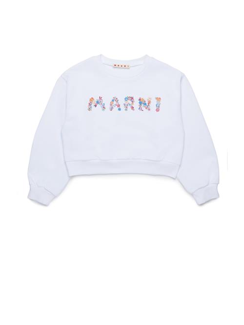 Marni Sweatshirt  lyseblå / mørkeorange / lyserød / hvid