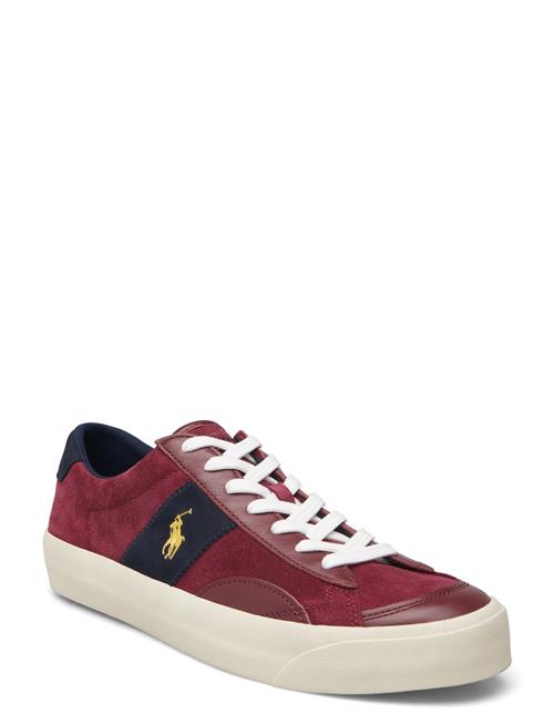 Sayer Leather-Suede Sneaker Polo Ralph Lauren Burgundy