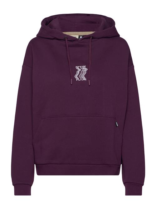 Lify Hoodie PICTURE ORGANIC CLOTHING Purple