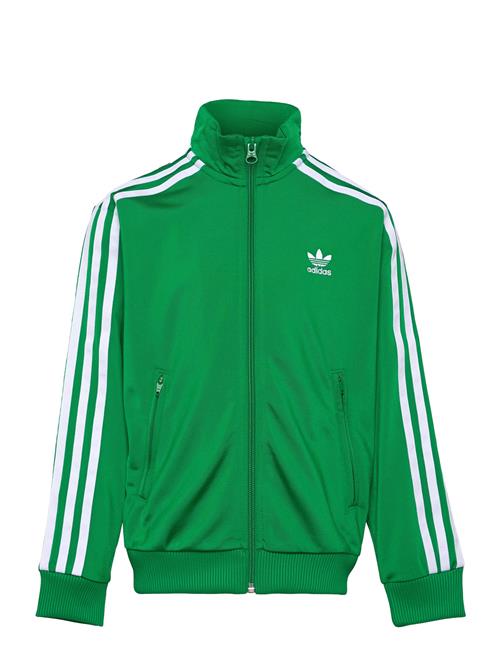 Firebird Top Adidas Originals Green