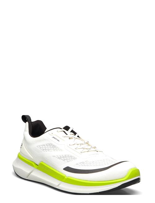 Biom 2.2 M ECCO White