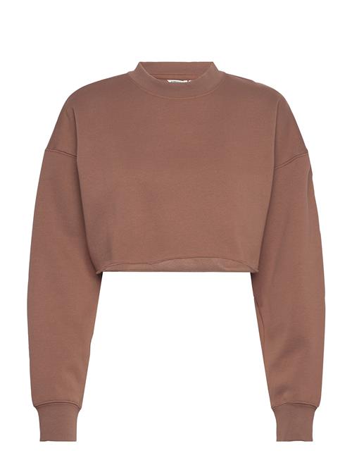 Studio Over D Cropped Sweatshirt Björn Borg Brown