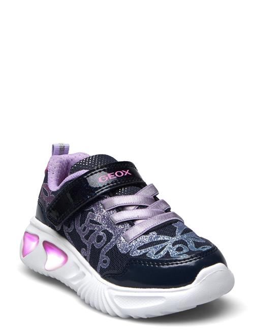 J Assister Girl A GEOX Purple