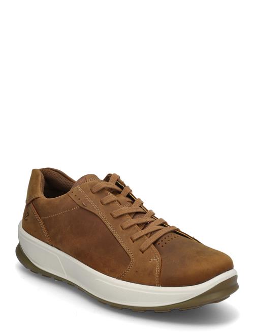 Byway 2.0 ECCO Brown