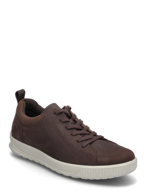 Byway ECCO Brown