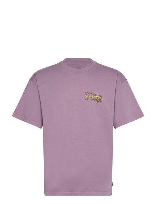 Hi Tide Og Ww Ss Billabong Purple