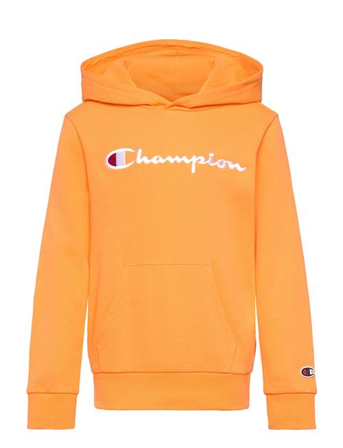 Hooded Sweatshirt Champion Orange