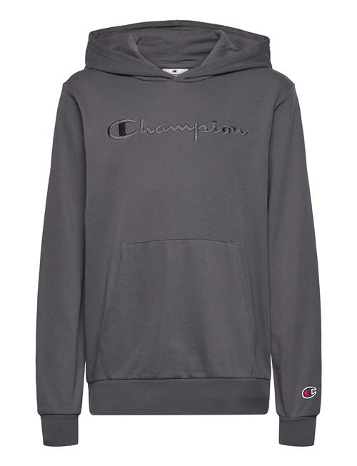 Hooded Sweatshirt Champion Grey