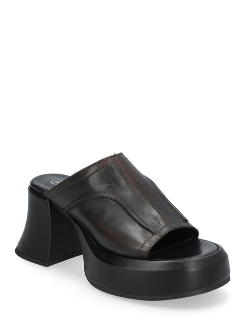 Lota New Brown Sandal MIISTA Black