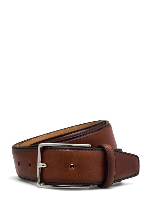 Dosso Saddler Brown