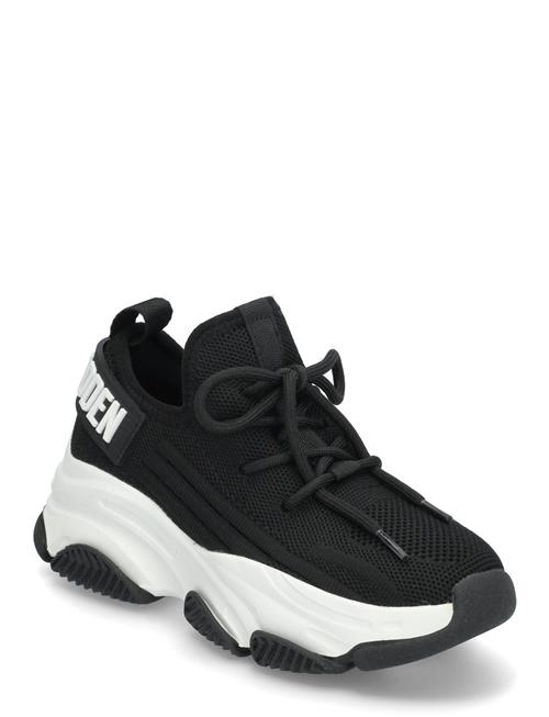 Jprotégé Sneaker Steve Madden Black