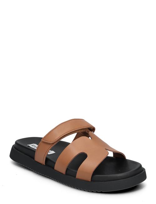 Missile Sandal Steve Madden Brown