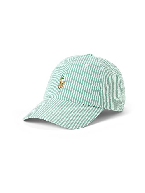 Polo Ralph Lauren Hætte  karamel / grøn / hvid