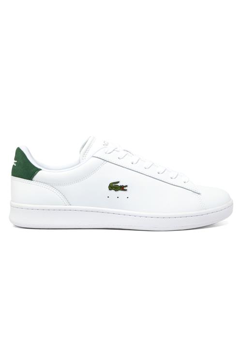 Lacoste Sneakers