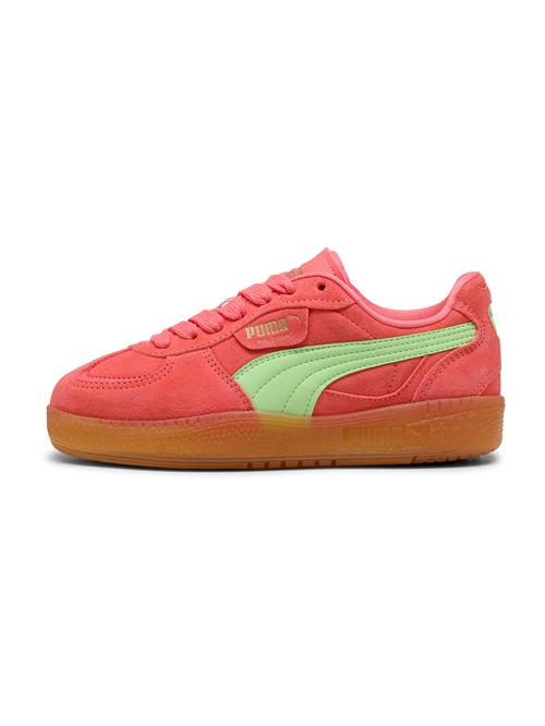 Se PUMA Sneaker low 'Palermo Moda Xtra Gum'  lysegrøn / laks ved About You