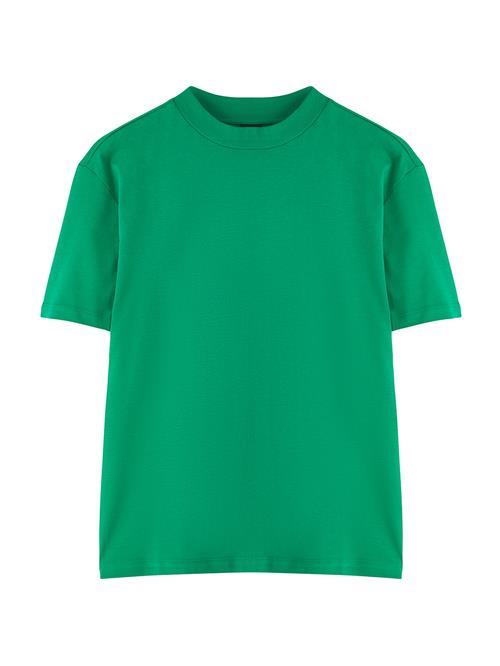 Trendyol Shirts  grøn