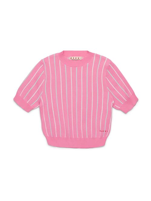 Se Marni Pullover  pastelblå / lys pink / hvid ved About You