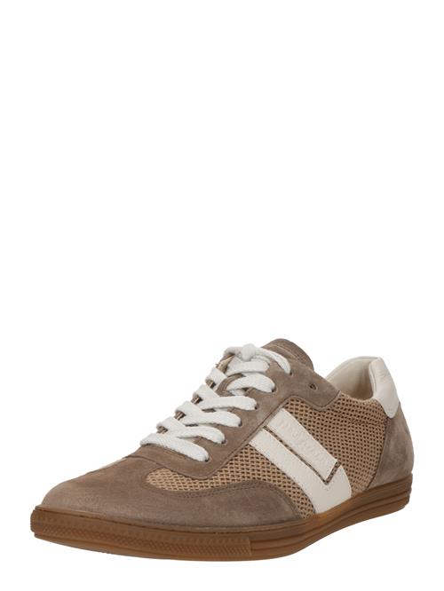 Paul Green Sneaker low  brun / offwhite