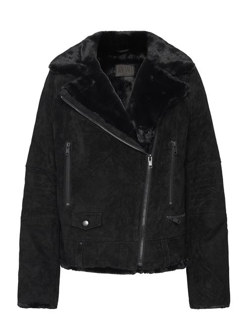 Awa Shearling Suede Biker Jofama Black