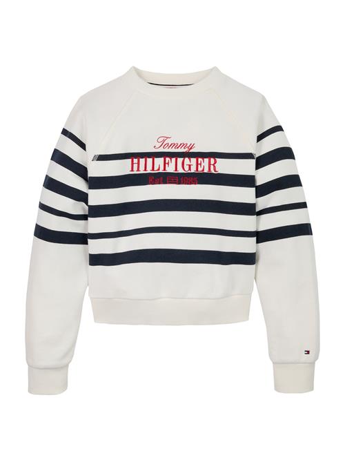 TOMMY HILFIGER Sweatshirt  marin / mørkerød / hvid