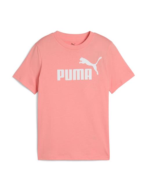 PUMA Shirts 'Ess No. 1'  gammelrosa / hvid