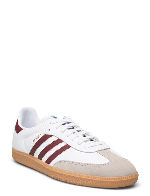 Samba Og Adidas Originals White