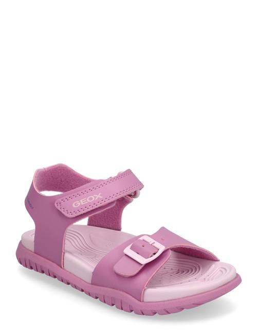 J Sandal Fusbetto Gi GEOX Pink