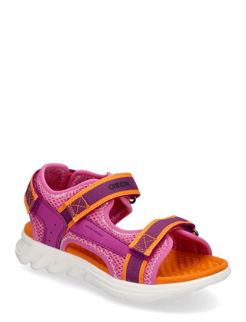 J Sandal Airadyum Gi GEOX Pink