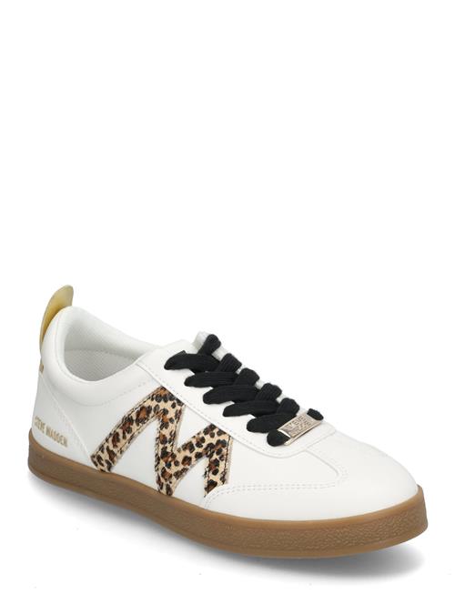 Degree Sneaker Steve Madden White