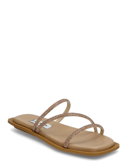 Safi Slide Steve Madden Beige