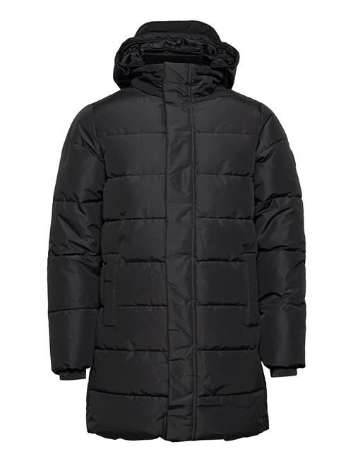 Onscarl Life Long Quilted Coat Otw Noos ONLY & SONS Black