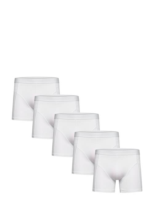 5 Pack Tights Shine Original White