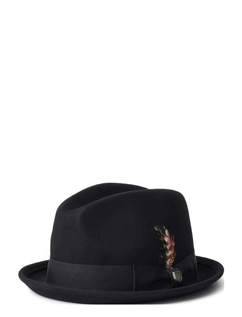 Gain Fedora Brixton Black