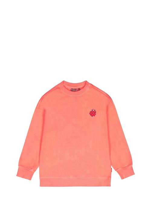 Tnd Neo TUMBLE 'N DRY Coral