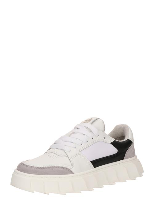 Apple of Eden Sneaker low 'LONDON'  grå / sort / offwhite