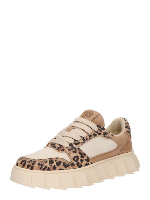 Se Apple of Eden Sneaker low 'LONDON'  beige / brun / sort ved About You