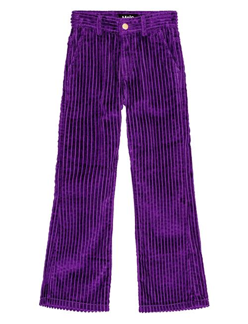 Aida Molo Purple