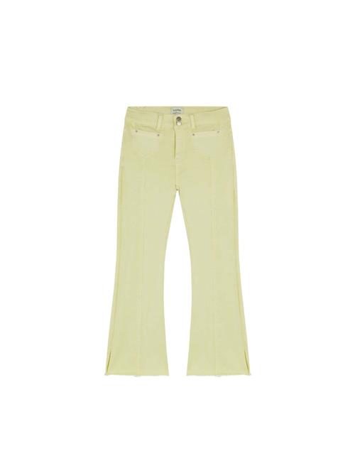 Scalpers Jeans  lime