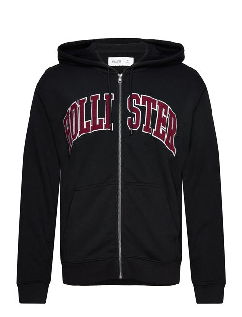 Hco. Guys Sweatshirts Hollister Black