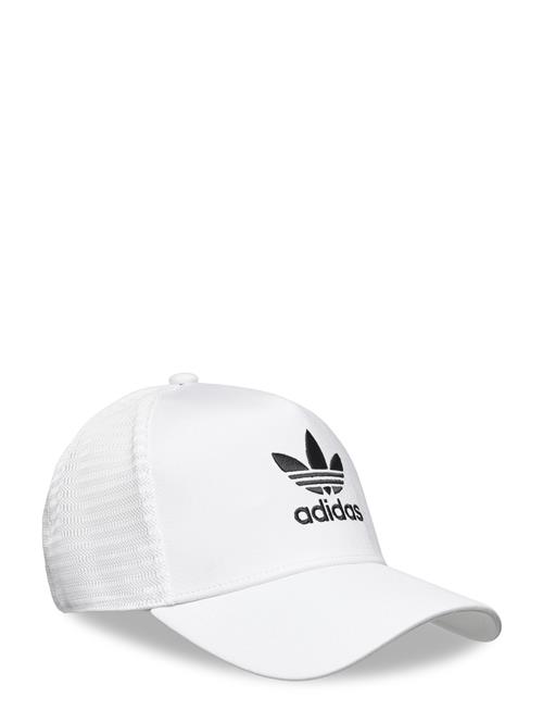 Adicolor Classic Curved Foam Trucker Adidas Originals White