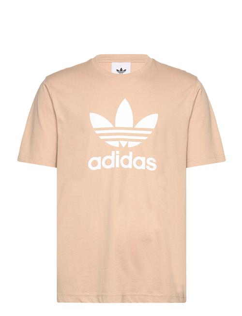 Adicolor Trefoil Tee Adidas Originals Cream